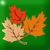 Herbst